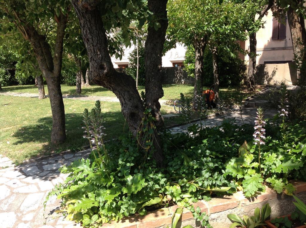 Montisi La Romita Ospitalita Rurale Familiare 빌라 외부 사진